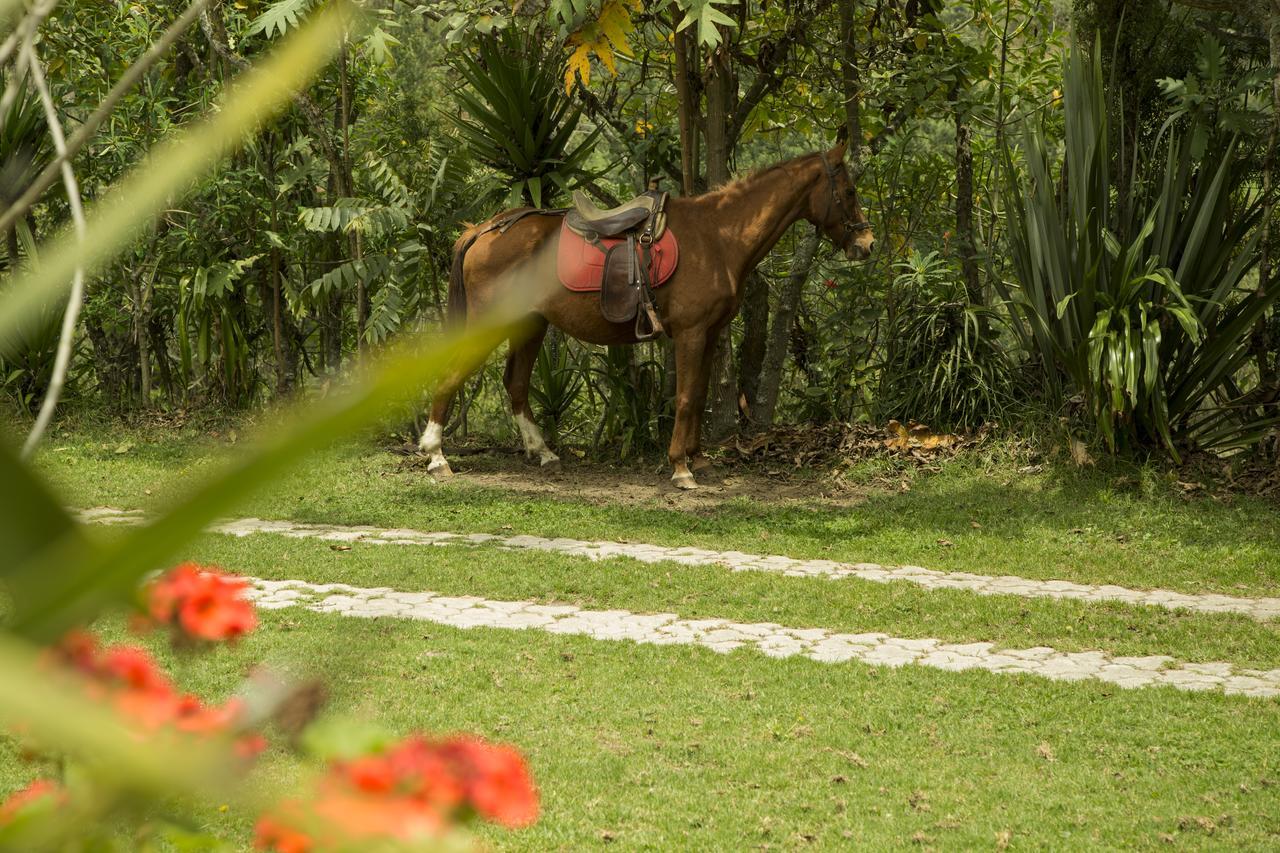 Estancia De La Campina Nono Eksteriør billede